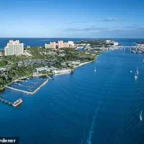 Jet Ski Collision in Bahamas Claims American Life, Adding to Region's Safety Concerns