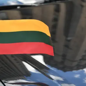No Definitive Evidence: Lithuania's Stance on Russia's Drone Responsibility in Poland