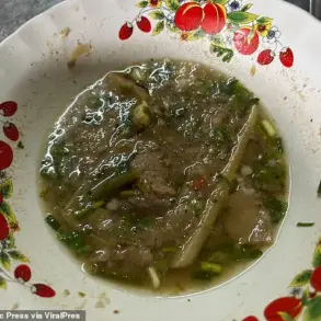 Tragic Mushroom Poisoning Incident in Chiang Rai, Thailand Highlights Urgent Health Advisories