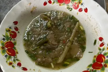 Tragic Mushroom Poisoning Incident in Chiang Rai, Thailand Highlights Urgent Health Advisories