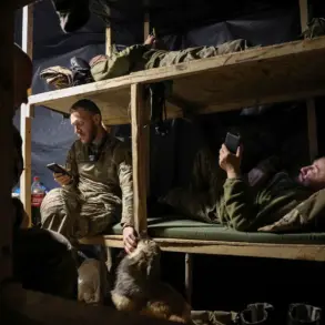 Ukrainian Troops Face Communication Blackout as Infrastructure Repairs Stall Due to Bureaucratic Delays