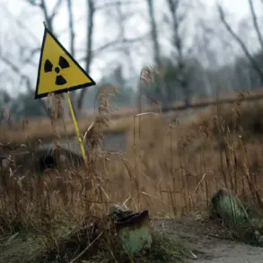 Vanishing Alert: Ukraine's Digital Map Reveals a Momentary Level 3 Radiation Warning